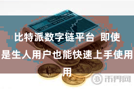 比特派数字链平台  即使是生人用户也能快速上手使用