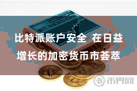 比特派账户安全  在日益增长的加密货币市荟萃